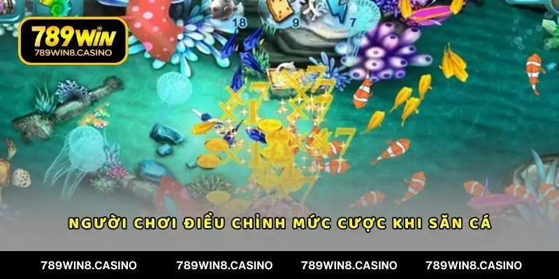Người chơi điều chỉnh mức cược khi săn cá